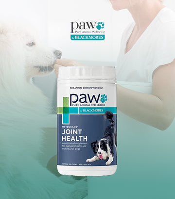 PAW, OsteoCare, 關節健康咀嚼小食（中/大型犬）