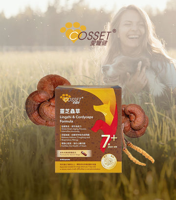 Cosset, 愛寵健. 靈芝蟲草老年犬專用膠囊配方, 80粒
