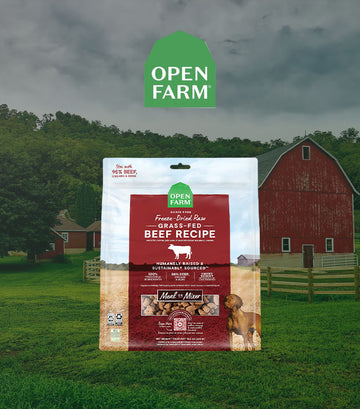Open Farm, Beef Recipe, 凍乾草飼牛肉生肉狗糧, 13.5oz/382g